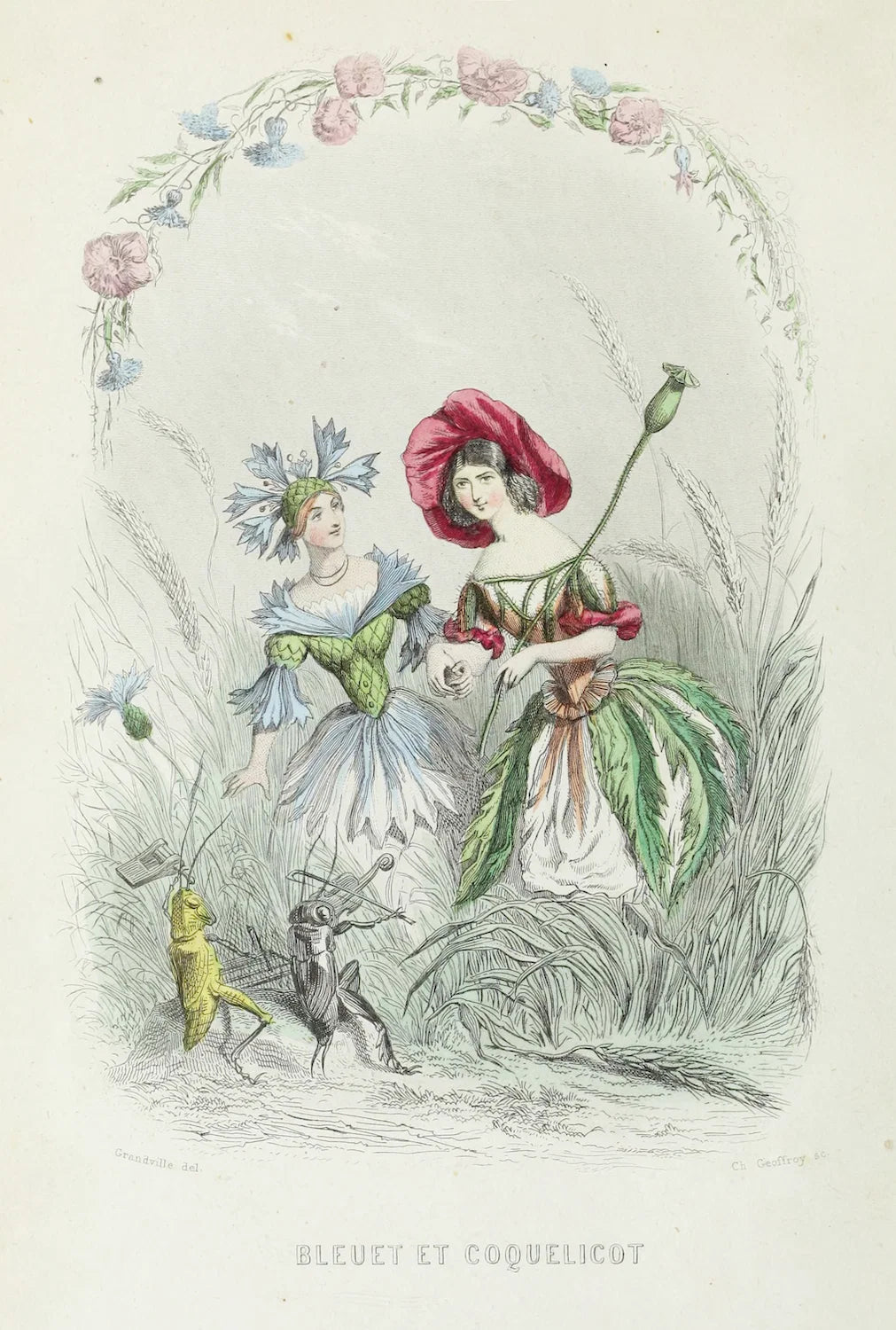 Cornflower and corn poppy / J. J. Grandville’s Illustrations from The Flowers Personified (1847)